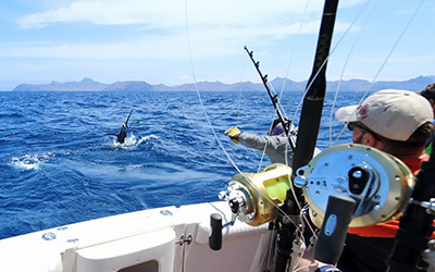 side fishing tour deep drop fishing